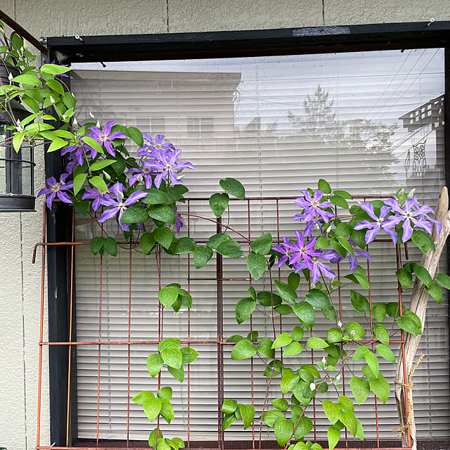 shin0719さんの部屋