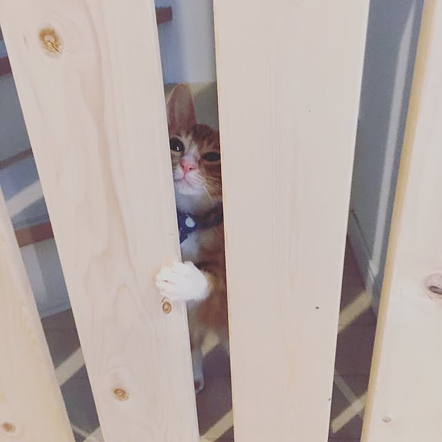 y.さんの実例写真