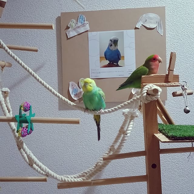 toratanさんの実例写真