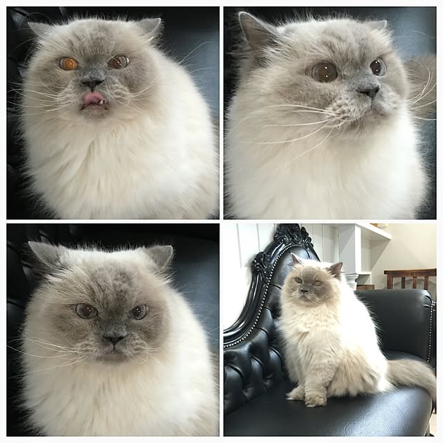 yuchiさんの実例写真