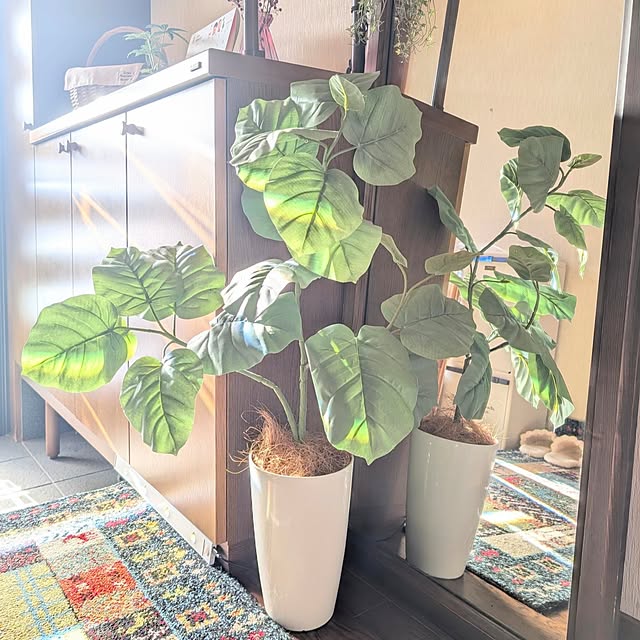 naoporonさんの部屋