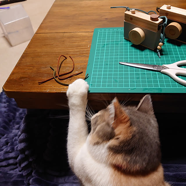 fukuさんの実例写真
