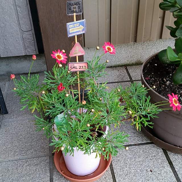 annさんの実例写真