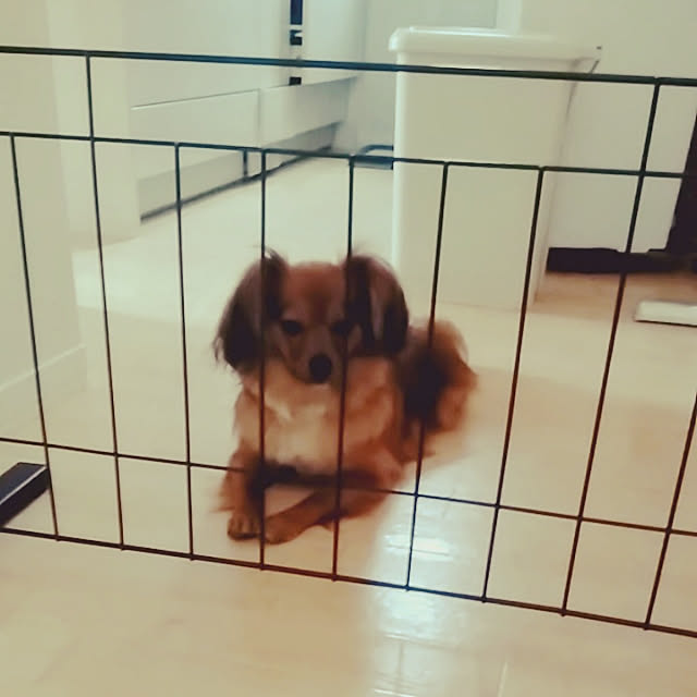 toratanさんの実例写真