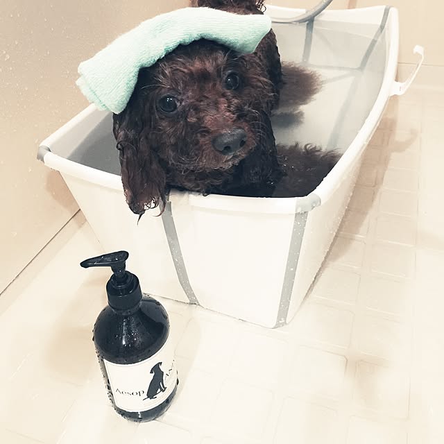 yoshiさんの実例写真