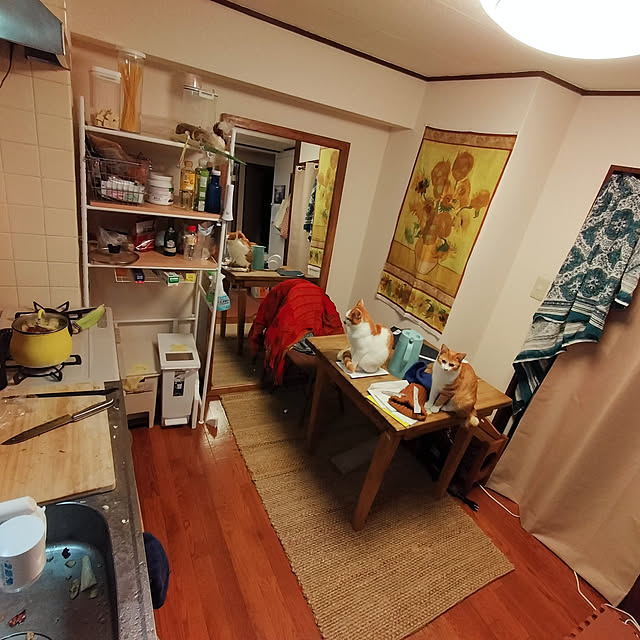 unkoさんの実例写真