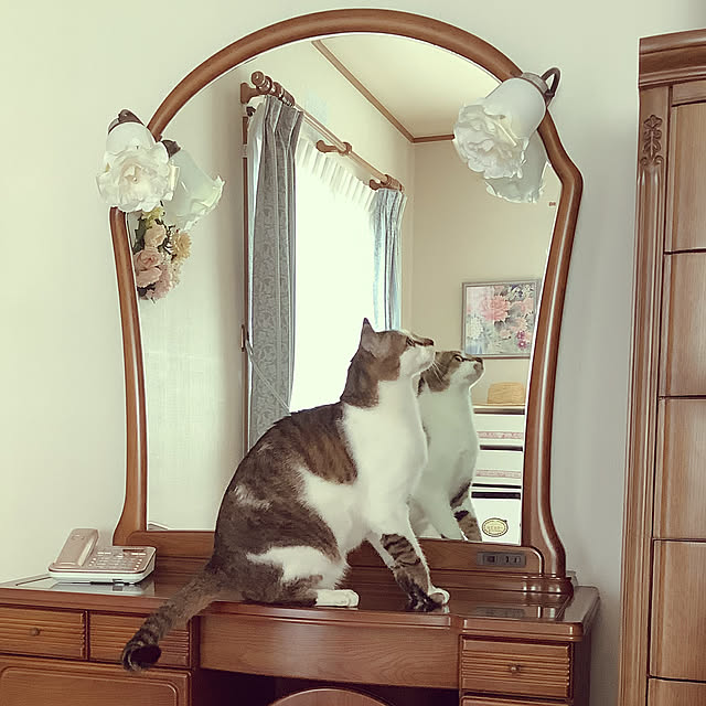haruminさんの実例写真