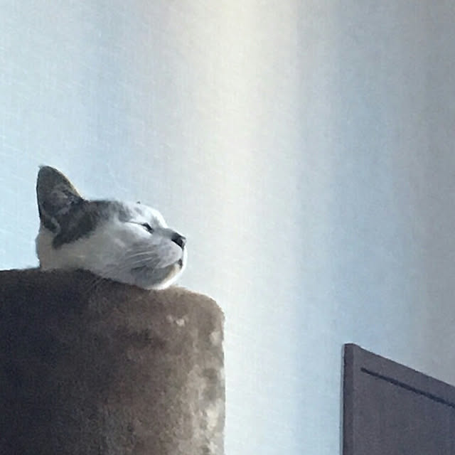 akikoさんの実例写真