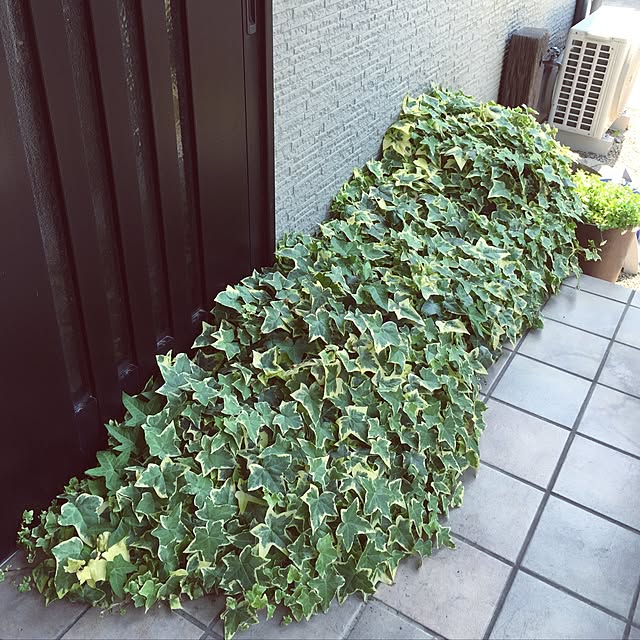 teraさんの実例写真