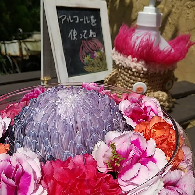 cache-cacheさんの実例写真