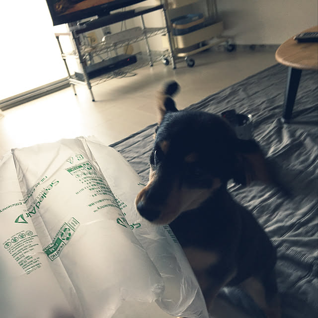 ohanaさんの実例写真