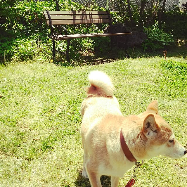 maiさんの実例写真