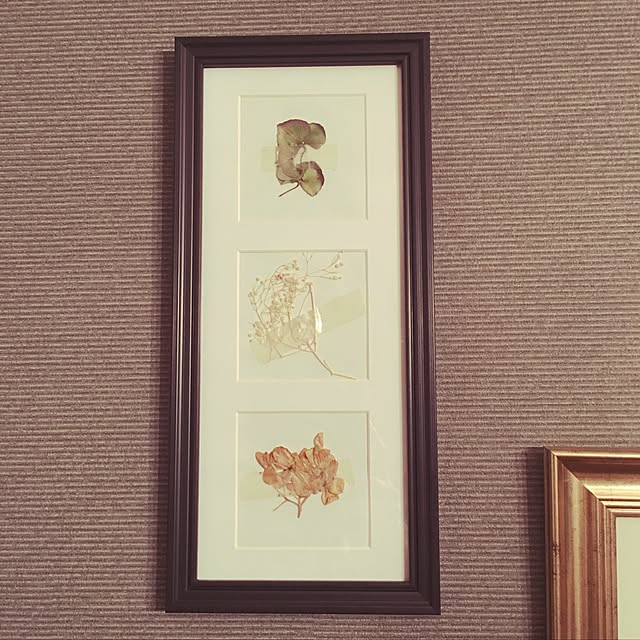 Ayumiさんの実例写真