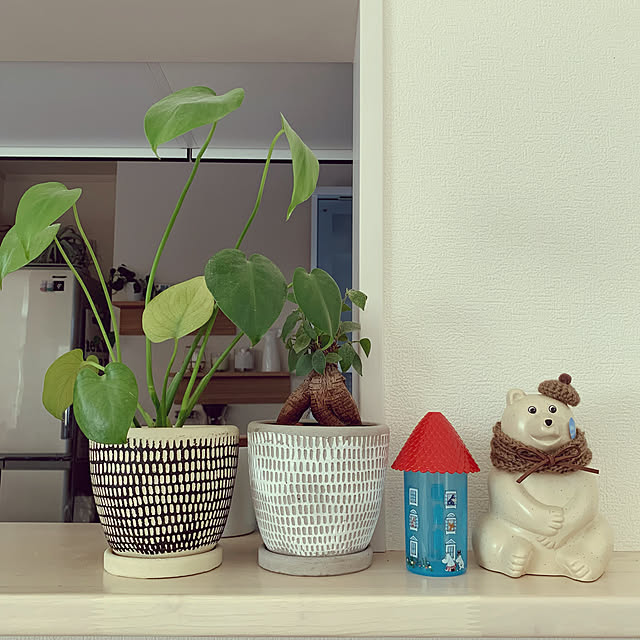 sakiさんの実例写真