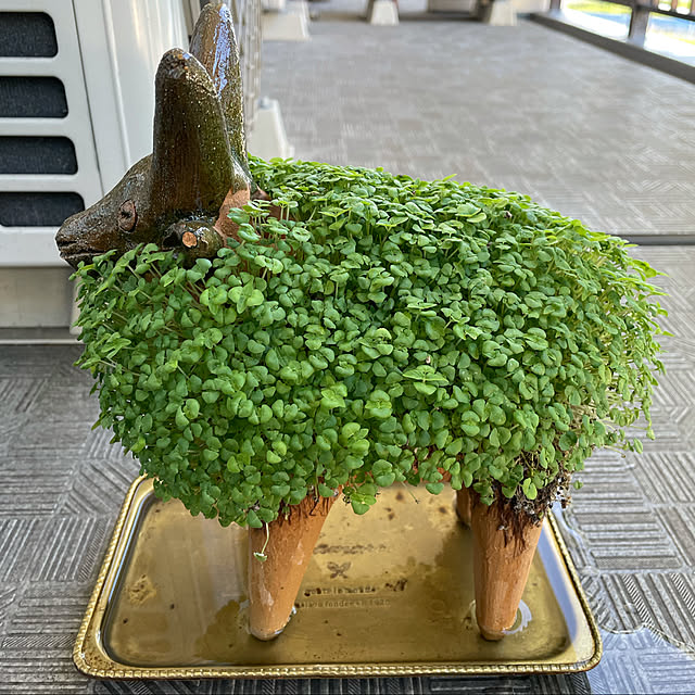 aureaさんの実例写真