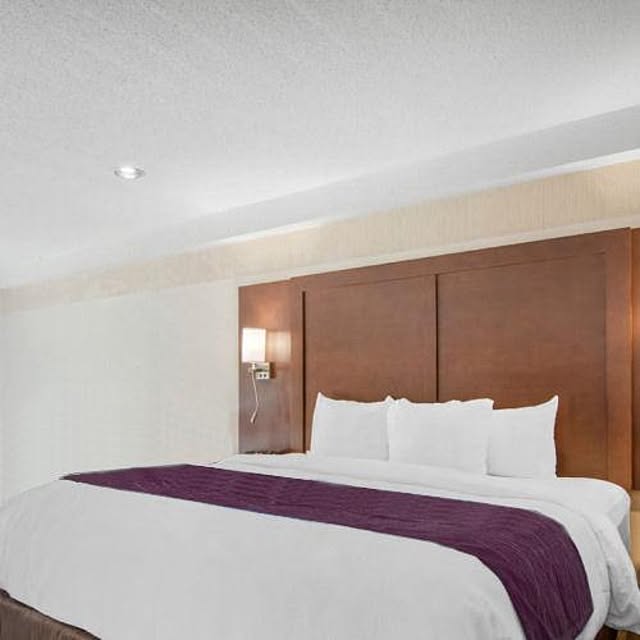 Hotel-Bedさんの実例写真