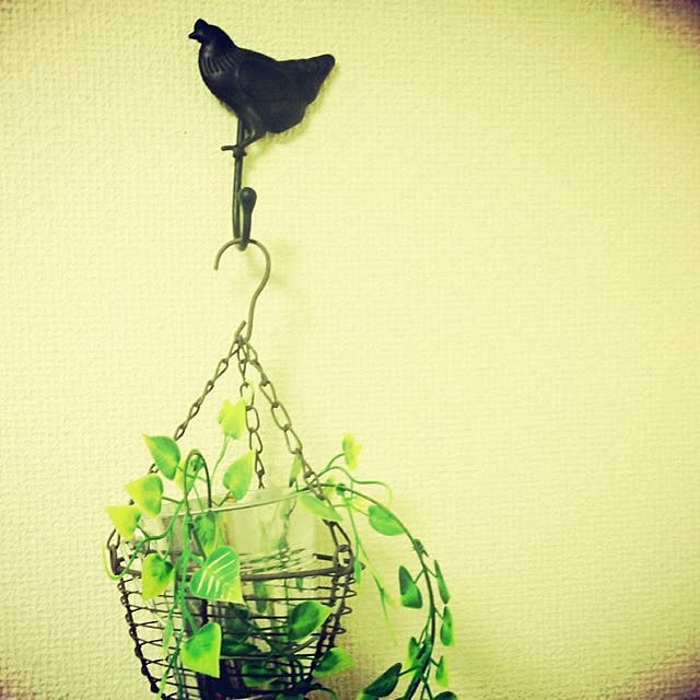 amelieさんの実例写真