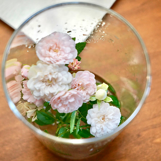 ponme33さんの部屋