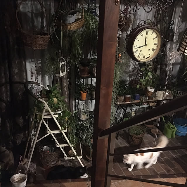 shigimiさんの実例写真
