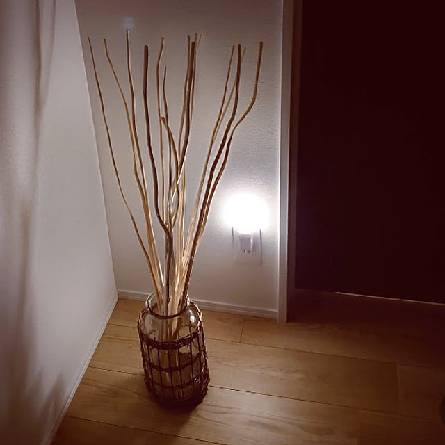 Odさんの実例写真