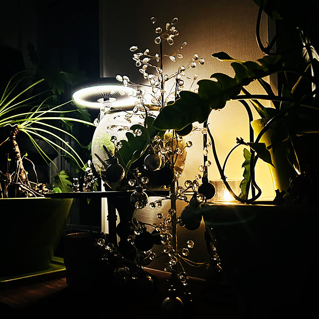 DAYONEさんの部屋