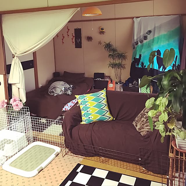 部屋全体のインテリア実例 - 2017-04-21 18:14:37