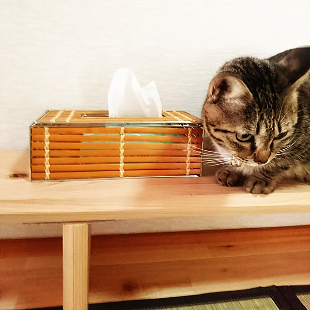 meguさんの実例写真
