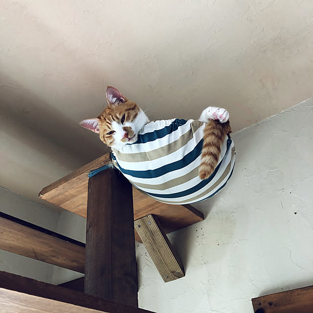 Emiさんの実例写真