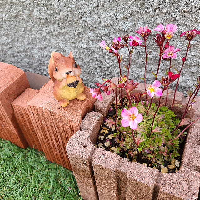 kawaiiouchi-labo.akiさんの実例写真
