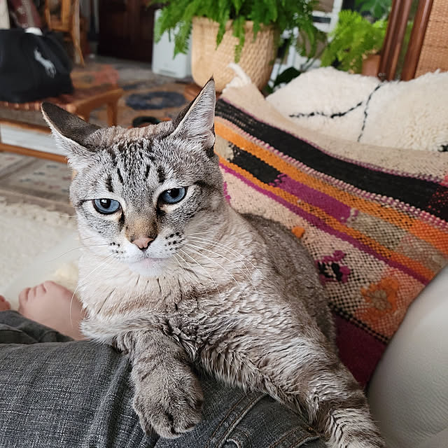 neoさんの実例写真