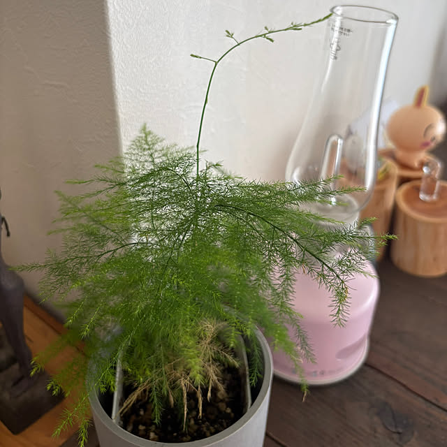 yokko_myroomさんの部屋