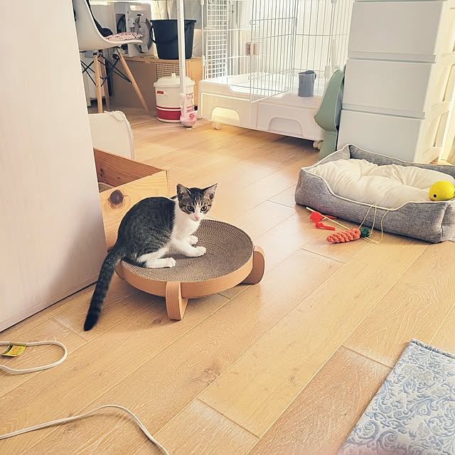 akimameさんの実例写真