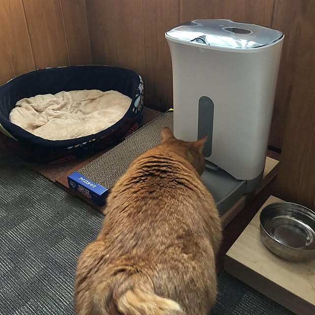 yuasa_primusさんの実例写真