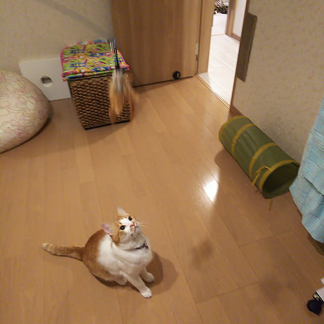 uutann320mozukuさんの実例写真