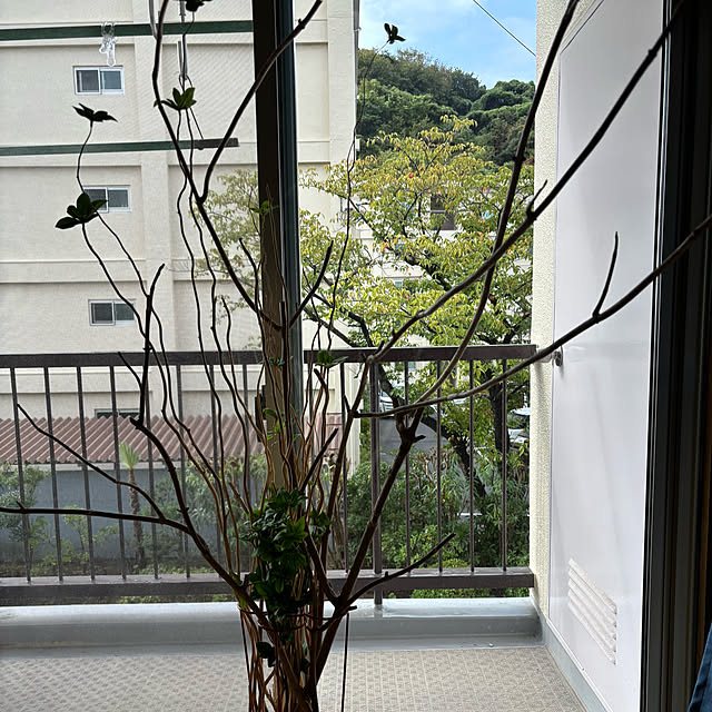 syutmmさんの部屋