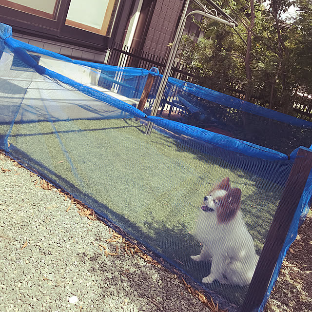 hytmさんの実例写真