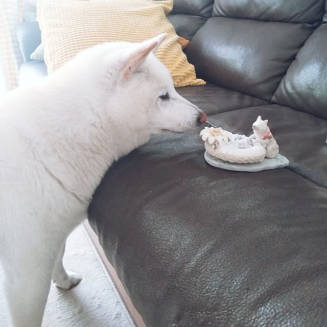 yukinkoさんの部屋