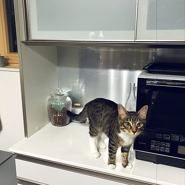 nekoさんの実例写真