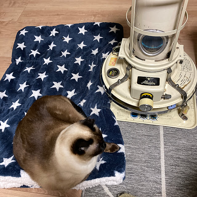 73さんの実例写真