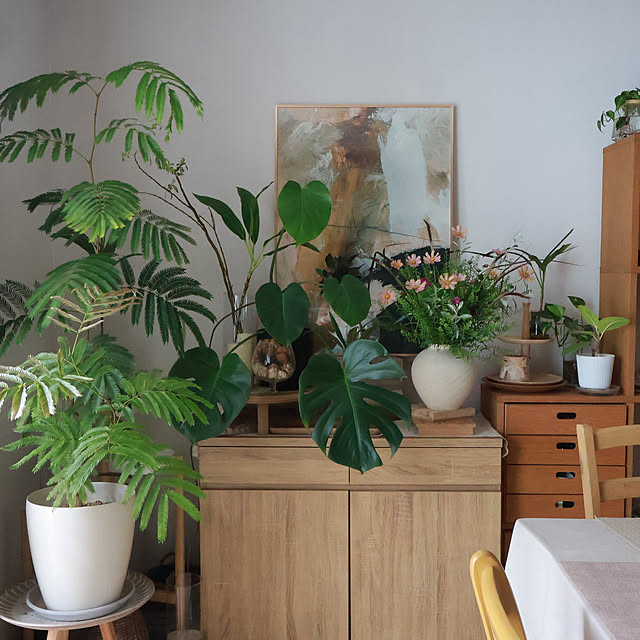 Summerさんの実例写真