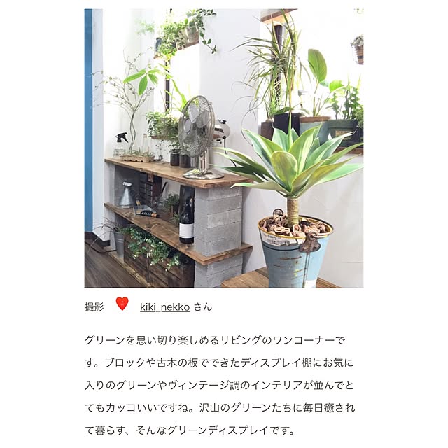 kiki_nekkoさんの実例写真