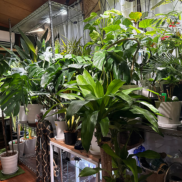 tatsuさんの実例写真