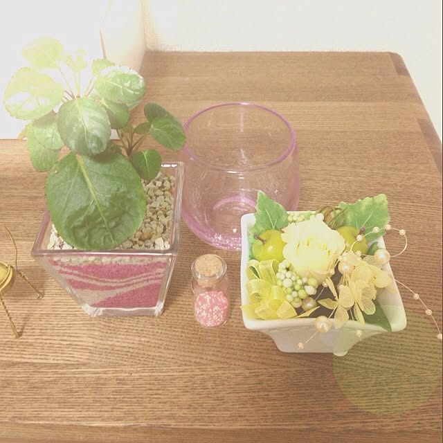 Shokoさんの実例写真