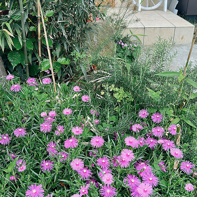 rizumu4649さんの実例写真