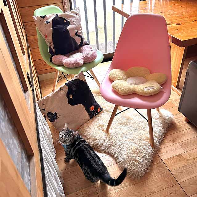 yumiさんの部屋