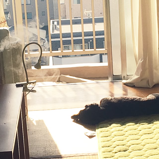 ohanaさんの実例写真