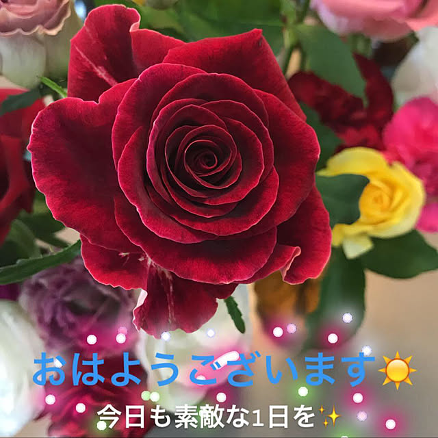 tsuyopipさんの実例写真