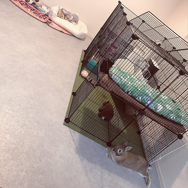 kicoさんの実例写真