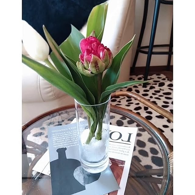 bonitoさんの実例写真