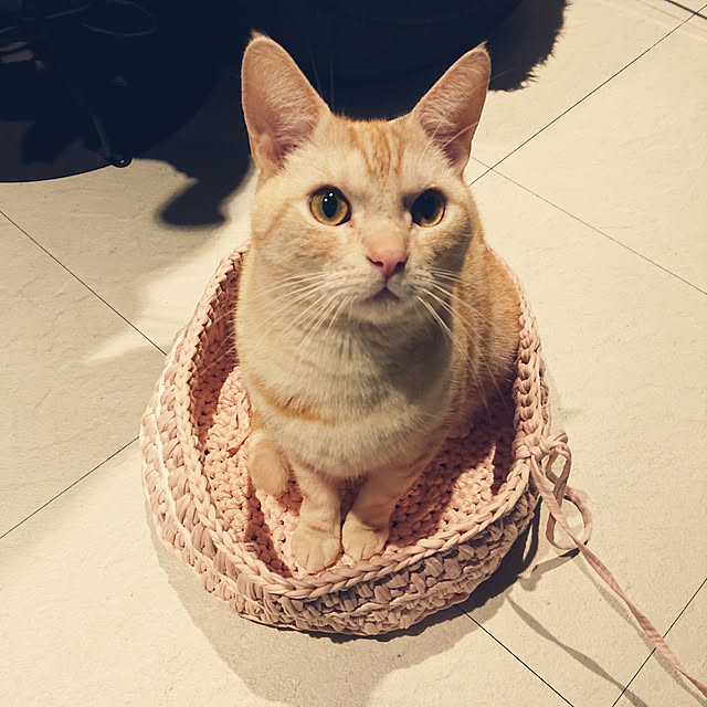 tetora0505さんの実例写真